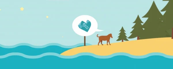 portabilite-de-la-mutuelle-et-reprise-en-cdd-les-points-cles